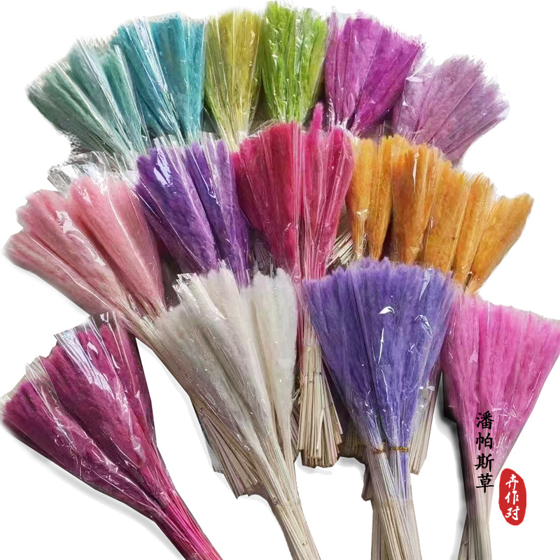 干花批发小芦苇花束潘帕斯草干花组合套装ins风亚马逊源头供货