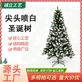 圣诞树;圣诞装饰品