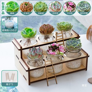 ����ֲ��M��С���Ի����k���҃�����������������ˮ��Gֲ����