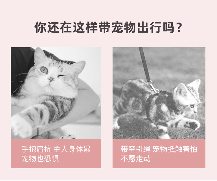 14154238658_688125845