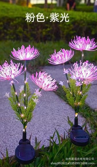 핑크색 꽃 - 따뜻한 빛