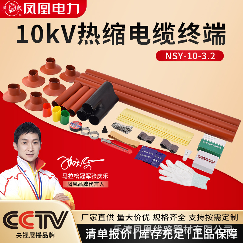 10KV series high voltage heat-shrink cable terminal Phoenix indoor NSY-10 cable head cable accessories