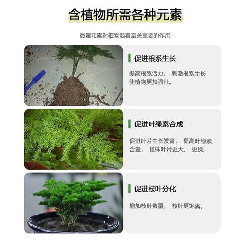 The manufacturer supplies eight special nutrient solutions for asparagus, special fertilizer for removing yellow leaves and rotten roots, and can be sprayed without dilution