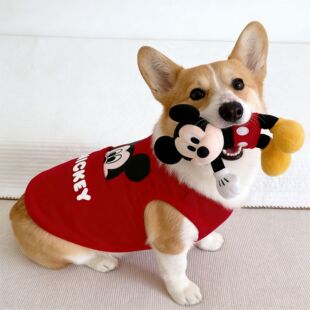 ���ﹷ���·���������Mickey�ڴ��H�w��������Ȯ�»���Ȯ����