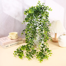 �¿�9�^105Ŀ��̖�ȼ����ٗl��c�Gɫ�����ڒ촹�������bGֲ