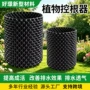 定制加厚园林植物控根器