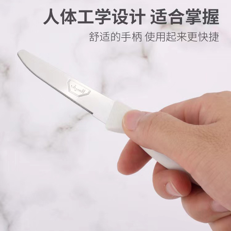 12pc cuchillo de filete de acero inoxidable dientes finos mango de plástico filete cuchillo de verduras cuchillo de frutas cuchillo de cocina