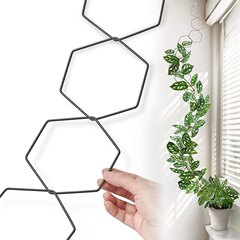 植物の藤の棚の植物の花の支えのアイデアの六角の鉄の輪の花の棚の山のカメの鉄線の蓮は棚を登ります