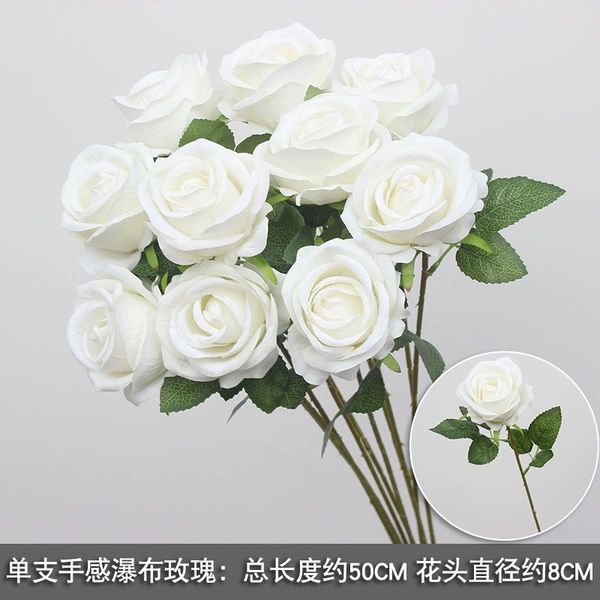 White velvet roses/10 branches