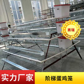 阶梯蛋鸡笼三层四层养殖用鸡舍鸡厂自动手动养殖户养鸡笼子