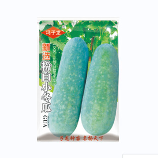 ꖹ��߲˷N�����x�۰�С���ϷN�ӷ�Ƥ�����춬�ϷN���ļ����߲˷N