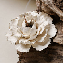 ���S�V�°���Ξĵ���������մɾ����бP�U�����ҾӔ[��С���Y��