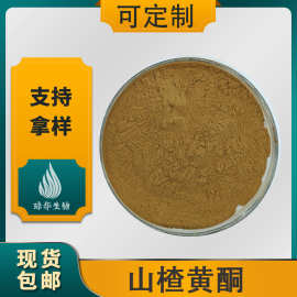 山楂黄酮 山楂提取物 多规格 琼华供应 植物提取  现货 量大优惠