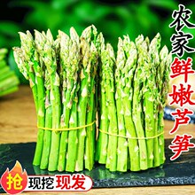 芦笋新鲜5斤小嫩笋当季绿蔬菜青笋尖三非白紫笋产地直销包邮3
