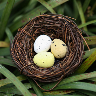 Simulation large bird's nest egg diy succulent plant landscaping micro landscape ornaments