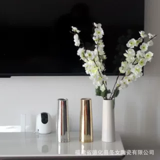 北欧 新款批发 原创陶瓷花瓶高级感新房乔迁家居摆件客厅玄关软装
