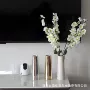 北欧乔迁陶瓷新款花瓶