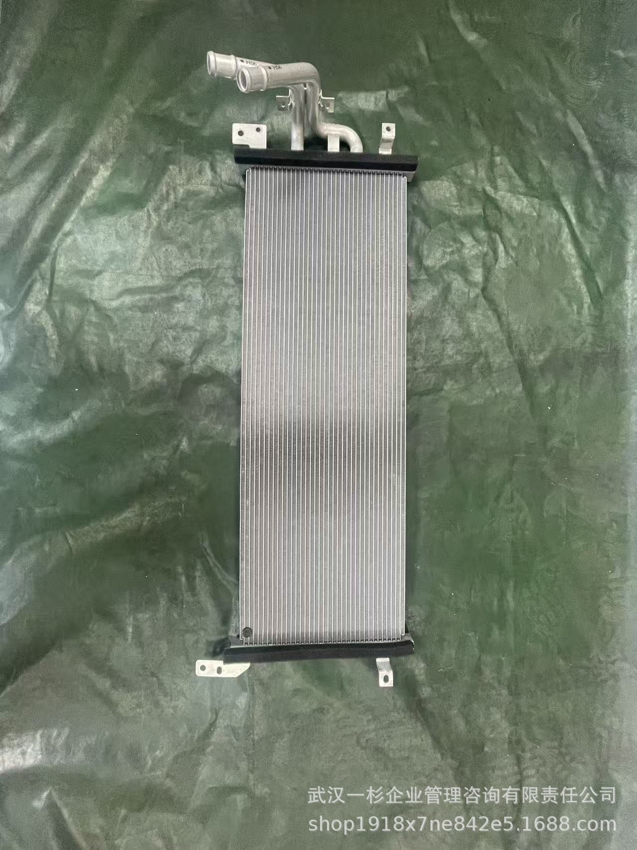 Direct sales from the original manufacturer H56A1301001AA 130101003 Lantu Dreamer Hybrid Low-Temperature Radiator