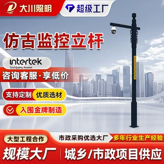加工定制监控立杆户外景区组合分段拼接立柱监控杆景区监控立杆