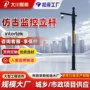 组合监控景区定制监控杆