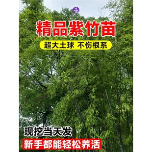�����簫���^�p�����ϸ�ͥԺ�����ͺ��������������Ϛ�|����Gֲ