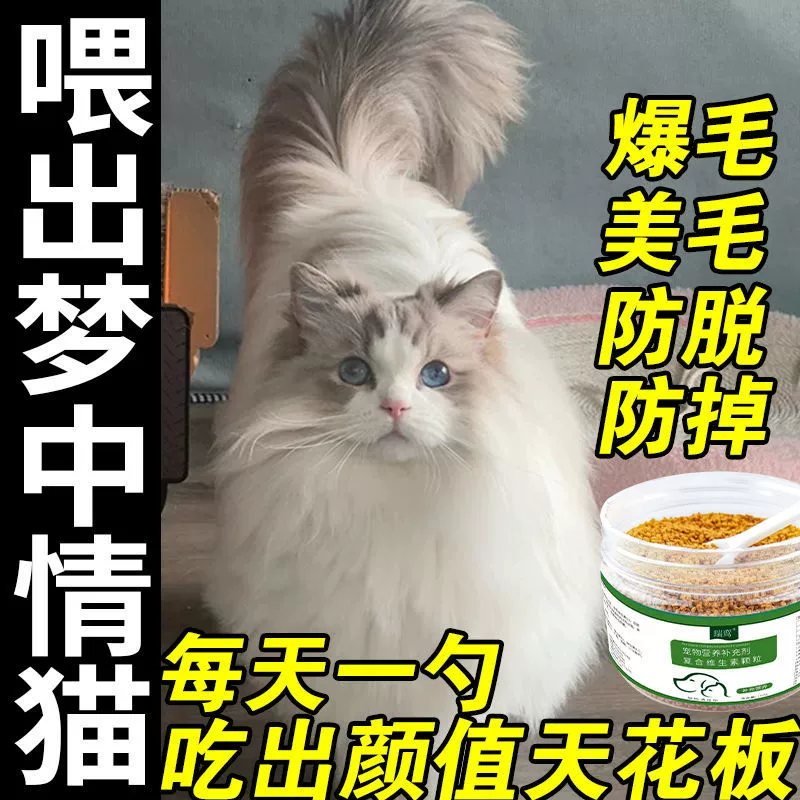 Неловкая добавка Питание кошки теряет кошек