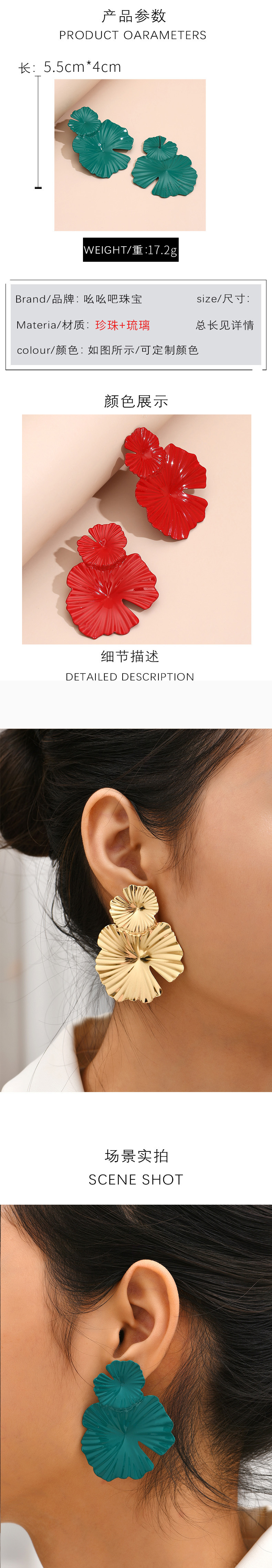 Fashion Alloy No Inlaid Earrings display picture 1