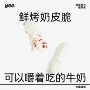 蒙牛训练yeepe宠物奶干