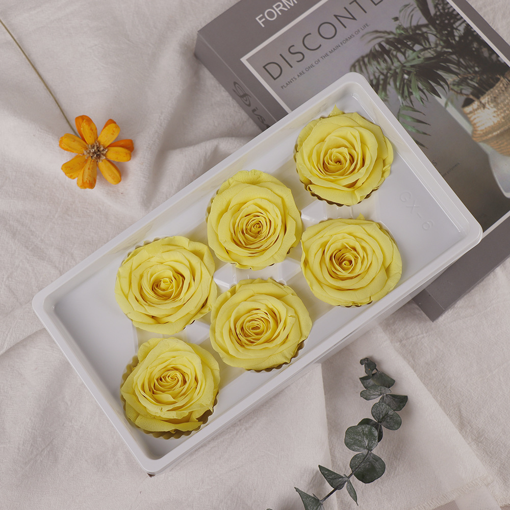 Flor eterna Rosa B-clase cabeza de la flor 5-6cm Día de San Valentín regalo ramo de flores flor eterna venta al por mayor DIY