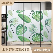 һ�����l����ĥɰ�����N��͸�ⲻ͸���l���gԡ�ҷ��Qҕ�NĤ���߹�