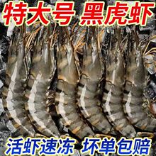 新鲜黑虎虾2斤鲜活速冻大号黑虎虾整箱海捕大虾商用海鲜水产批发