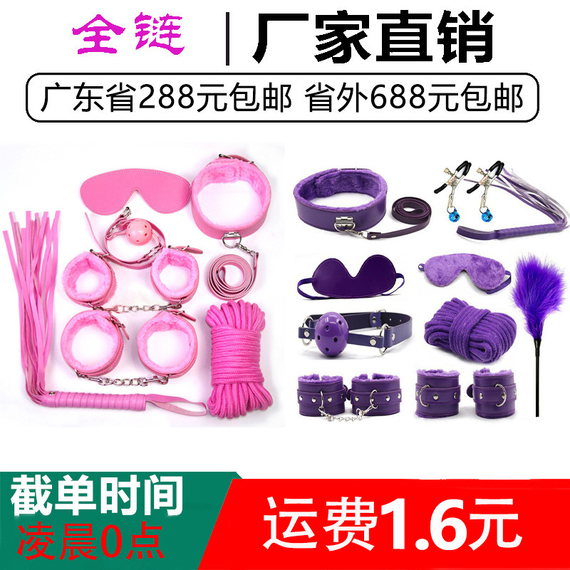 女性调教十件套装手铐乳夹口球sm10件套成人情趣用品捆绑束缚调教