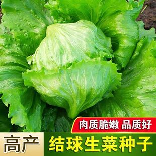 �Y�����˷N�� ���������ΈA��������h�����Բ��ļ��r�����˷N��