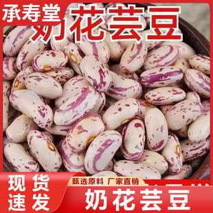 ���x�������̻�ܿ�����̰׻�ܿ������ඹ�����W���ܿ���|���