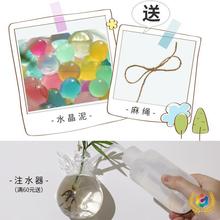 ◈玻璃吊花瓶透明水培简约现代创意悬挂式装饰客厅个性迷你壁挂吊