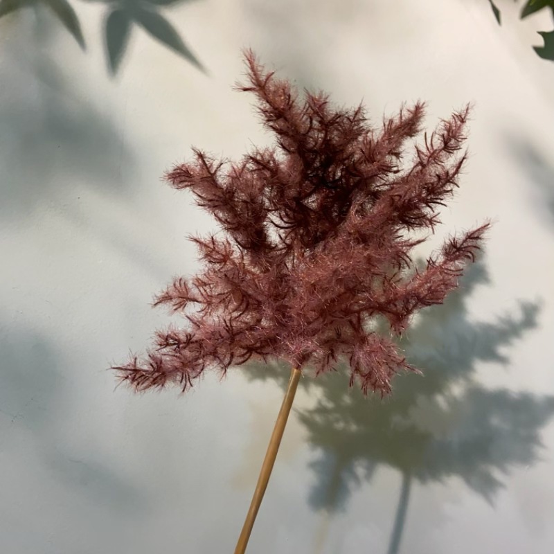 微信图片_20250219164509