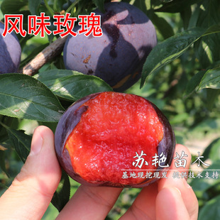�������� �Lζõ���� �޽�������t��Ѫ�z��õ�����Ә��箔��Y��