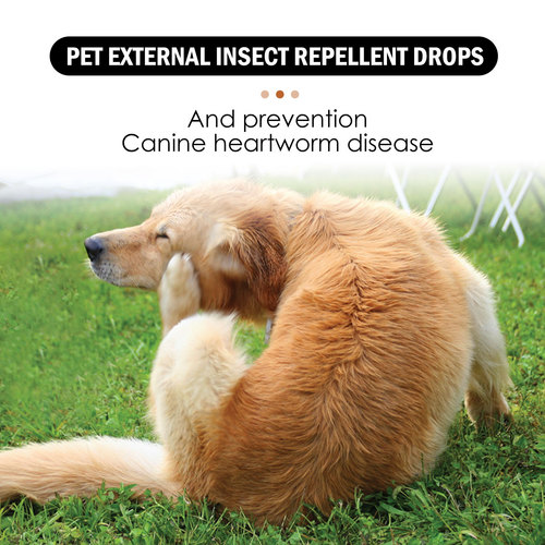 Yegbong Pet External Insect Repellent Drops Dog and Cat Drops Spray Cleansing and Removes Lice, Ticks and Fleas