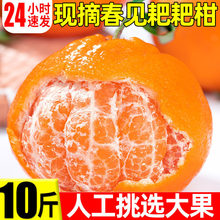 �ҰҸ̴�Ҋ�������r10�����ٮ����r��ˮ�����������������θ���