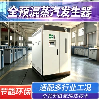 燃气蒸汽发生器酿酒化工洗涤晕染高效节能低氮燃烧冷凝燃气锅炉
