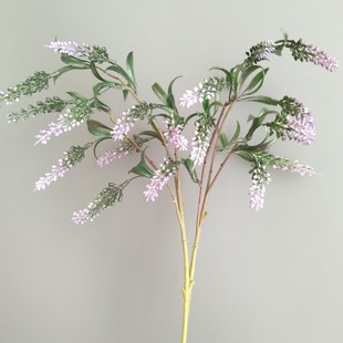 9^PβJȔβ WinsҾӘӰgc廨