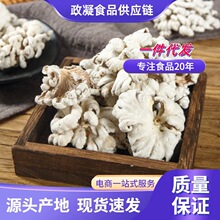 白参菌云南特产土特产干雪莲花菌子裂褶菌干货蘑菇大整朵煲汤