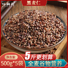 2023年新东北黑龙江黑小麦仁2斤燕麦米荞麦米粗五谷杂粮饭健身脂