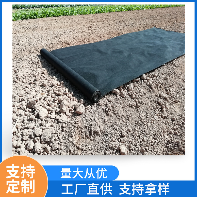 福建澳杰跨境农业除草pp无纺布防冻覆盖纺粘无纺布卷