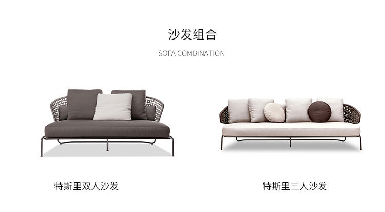 特斯里-05.jpg