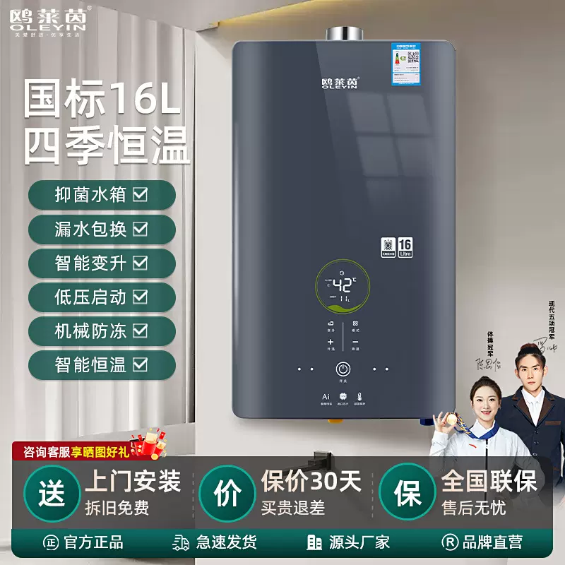 现货家用燃气热水器16L防干烧天然气热水器 机械防冻铜水箱热水器