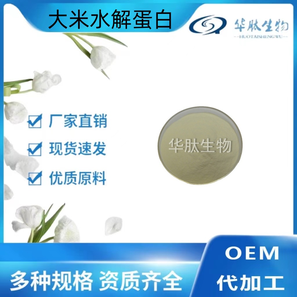 供应食品级大米水解蛋白粉 植物蛋白粉大米提取物 大米水解蛋白粉