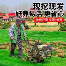 ��Ƥ���ƺ��������̺���X�ݷNֲ�e�����@ͥԺ�����G���R������ƺ