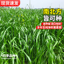 ͺݷNӶݷNӶ70౶wuZiţ~ѽ