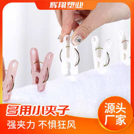 厂家直销强力防风夹晾晒夹塑料晾衣夹防滑小夹子多用处实用夹片